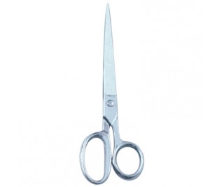 Taylor Scissor